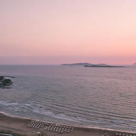 Sunsea Wellness