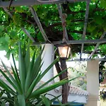 Sunsea Wellness